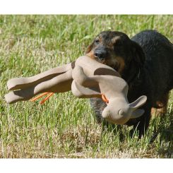 Dummy / Apportel Kaninchen 