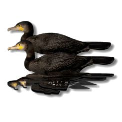 FUD Lockvogel Kormoran 6 Stück 