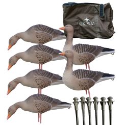 DK WAI Lockgänse Graugans beflockt 6er Set mit Tasche 