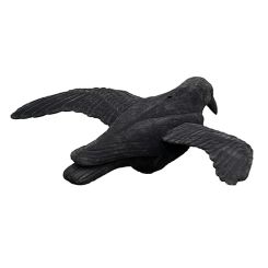 Lockkrähe beflockt fliegend 