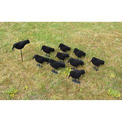 Lockkrähen beflockt 10er Set 