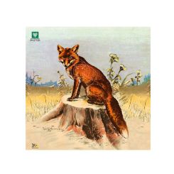 DJV Luftgewehrscheibe Fuchs 10 m 100er-Pack 