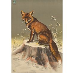 DJV-Wildscheibe Nr. 3 Fuchs 100 m 