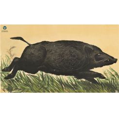 DJV-Wildscheibe Nr. 7 Überläufer flüchtig rechts 50 m 