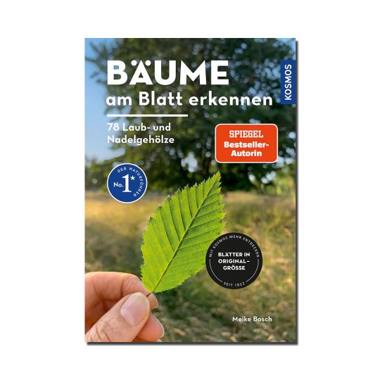Kosmos Buch: Bäume am Blatt erkennen 