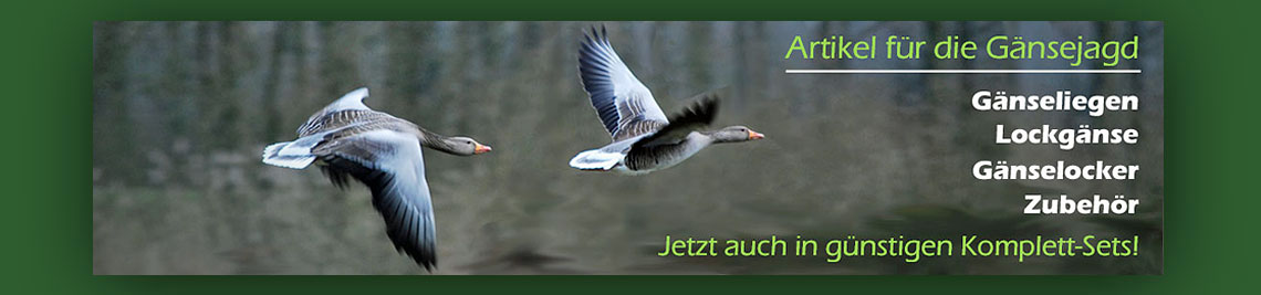 Zur Gänsejagd