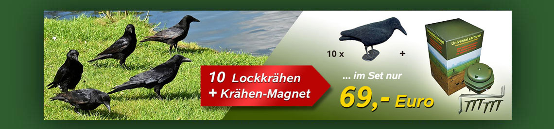 Krähenjagd-Set ➤ per Klick zum Angebot